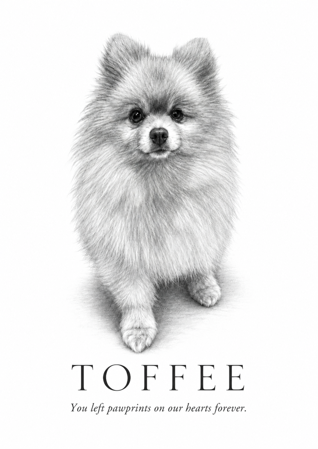 Custom Graphite Pet Portrait | Personalised