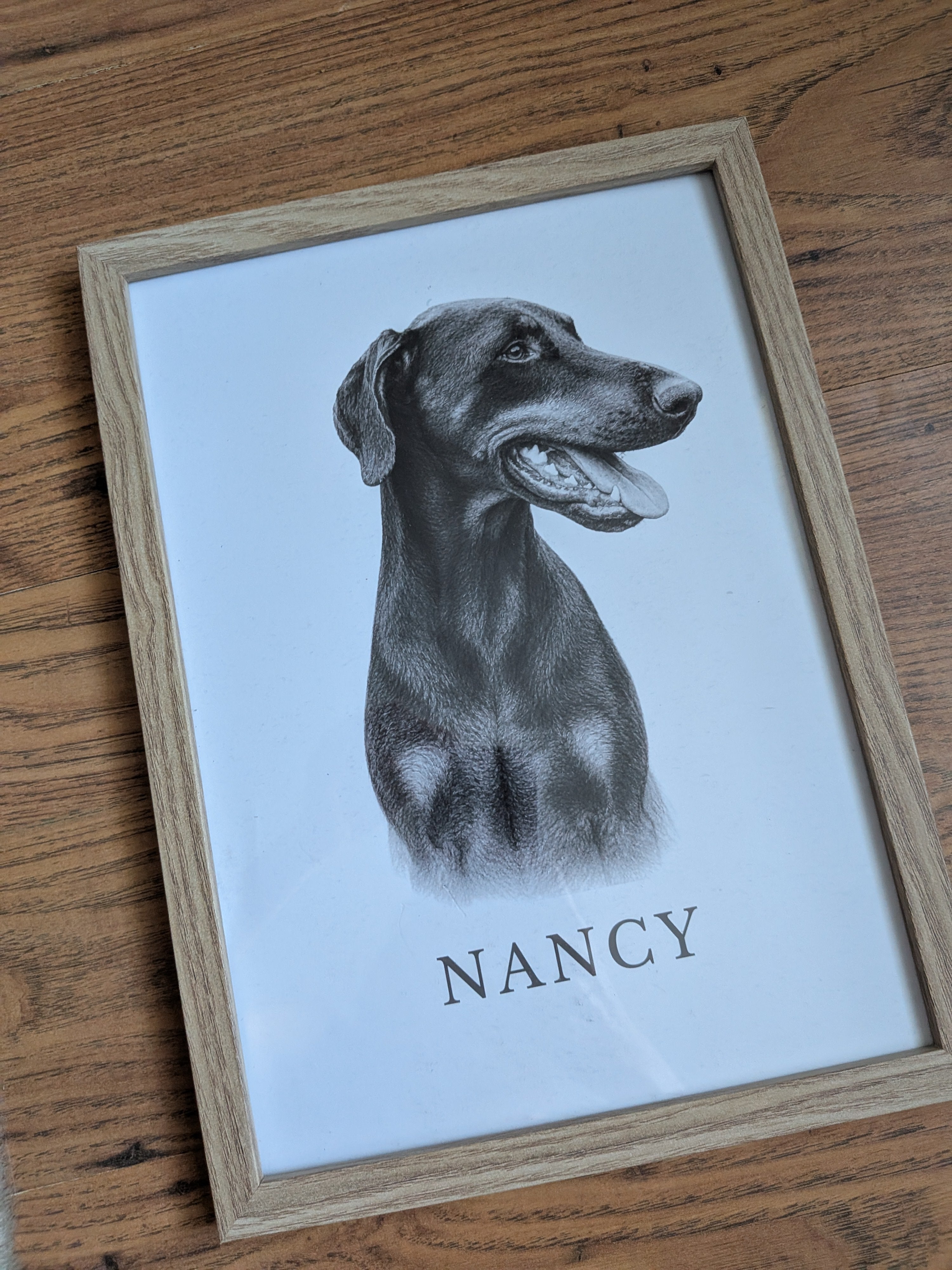 Custom Graphite Pet Portrait | Personalised