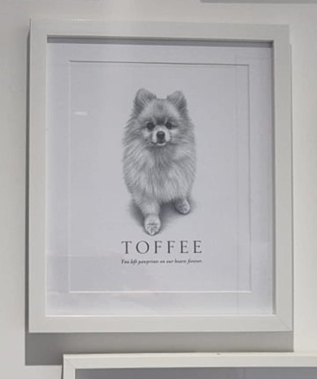 Luxury Custom Pet Portrait | Personalised