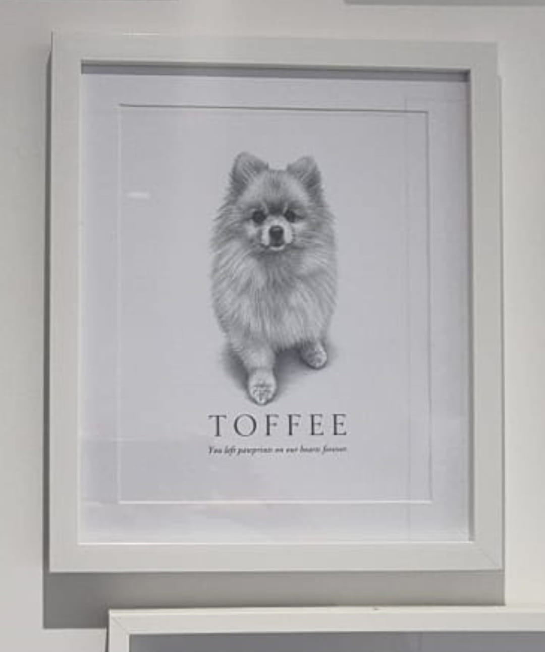 Luxury Custom Pet Portrait | Personalised