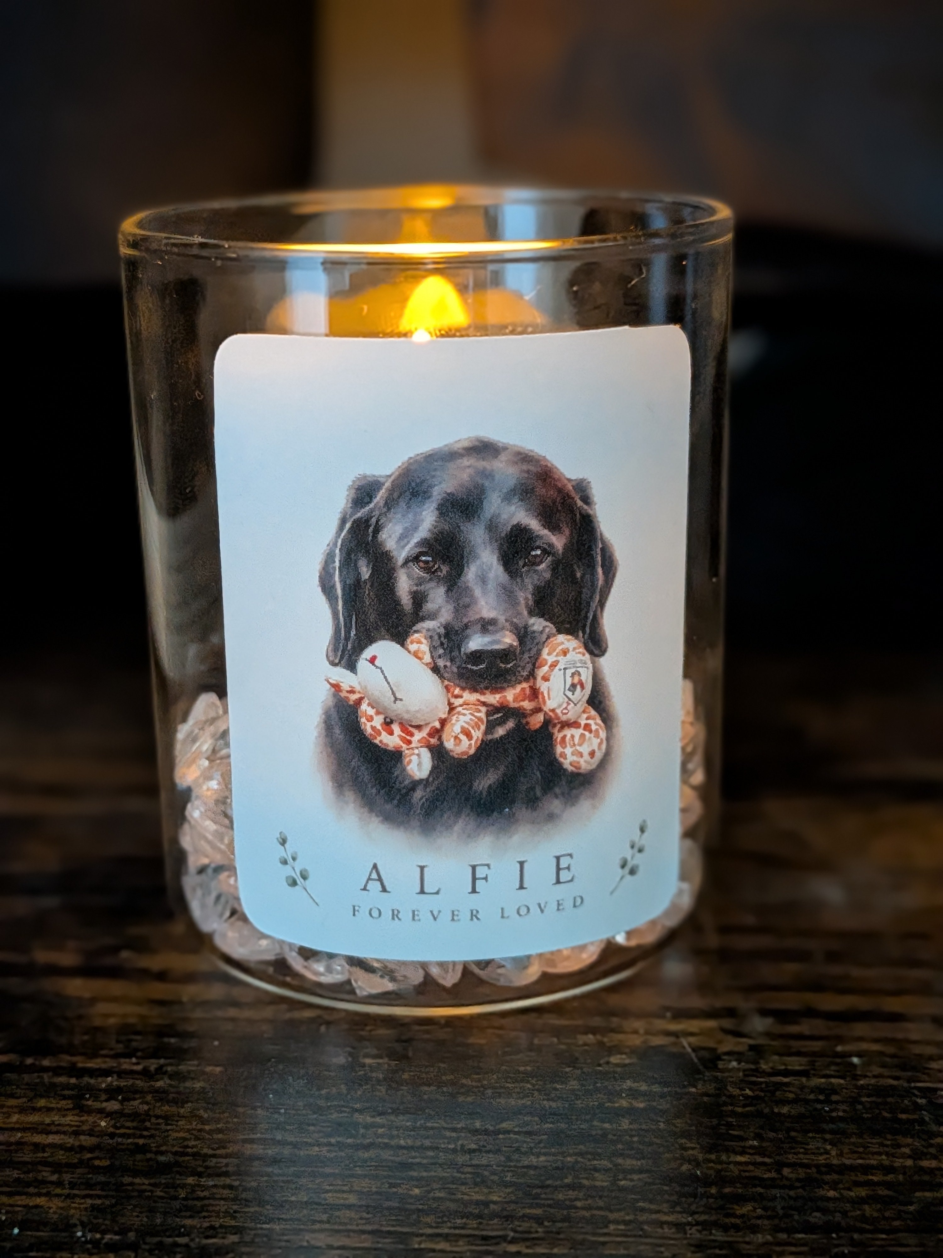Personalised Pet Forever Glow Light