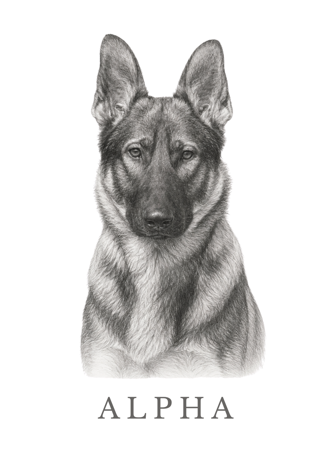 Luxury Custom Pet Portrait | Personalised Digital Download