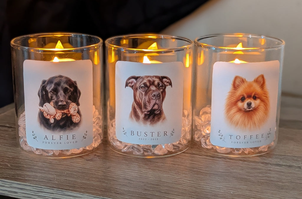 Personalised Pet Forever Glow Light