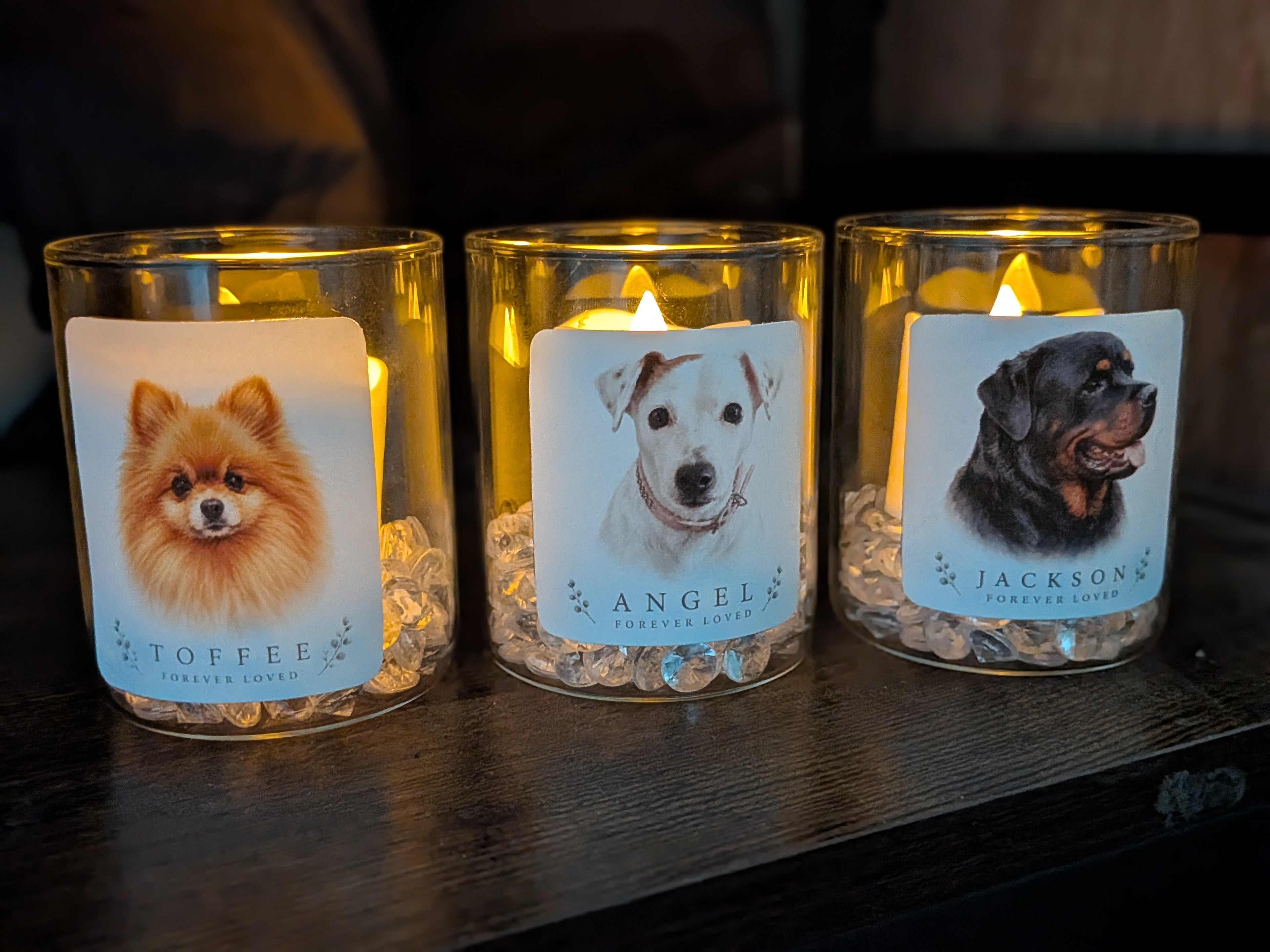 Personalised Pet Forever Glow Light