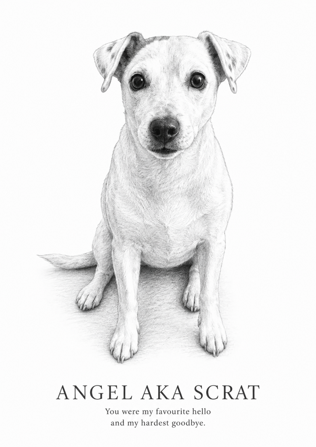 Custom Graphite Pet Portrait | Personalised