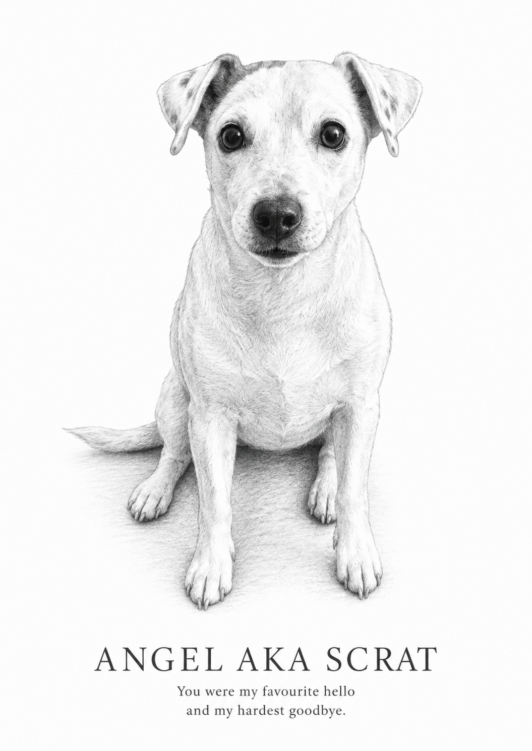 Custom Graphite Pet Portrait | Personalised