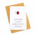 Lucky Ladybird Token Gift – Good Luck Pocket Keepsake