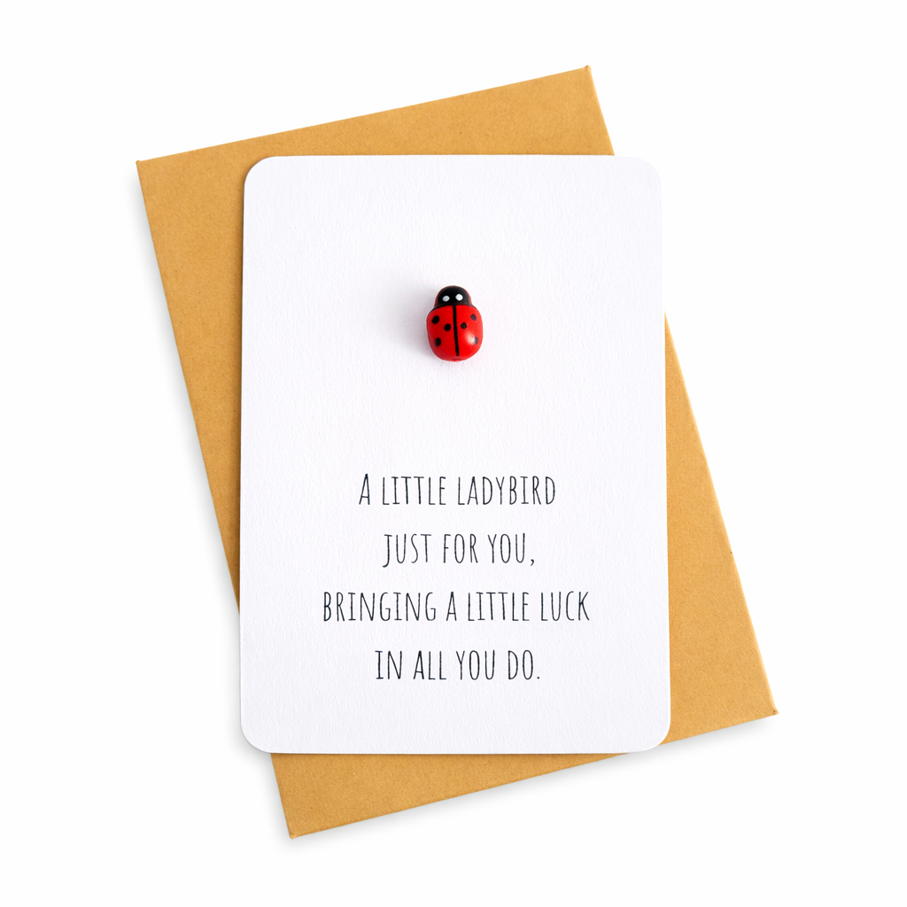 Lucky Ladybird Token Gift – Good Luck Pocket Keepsake