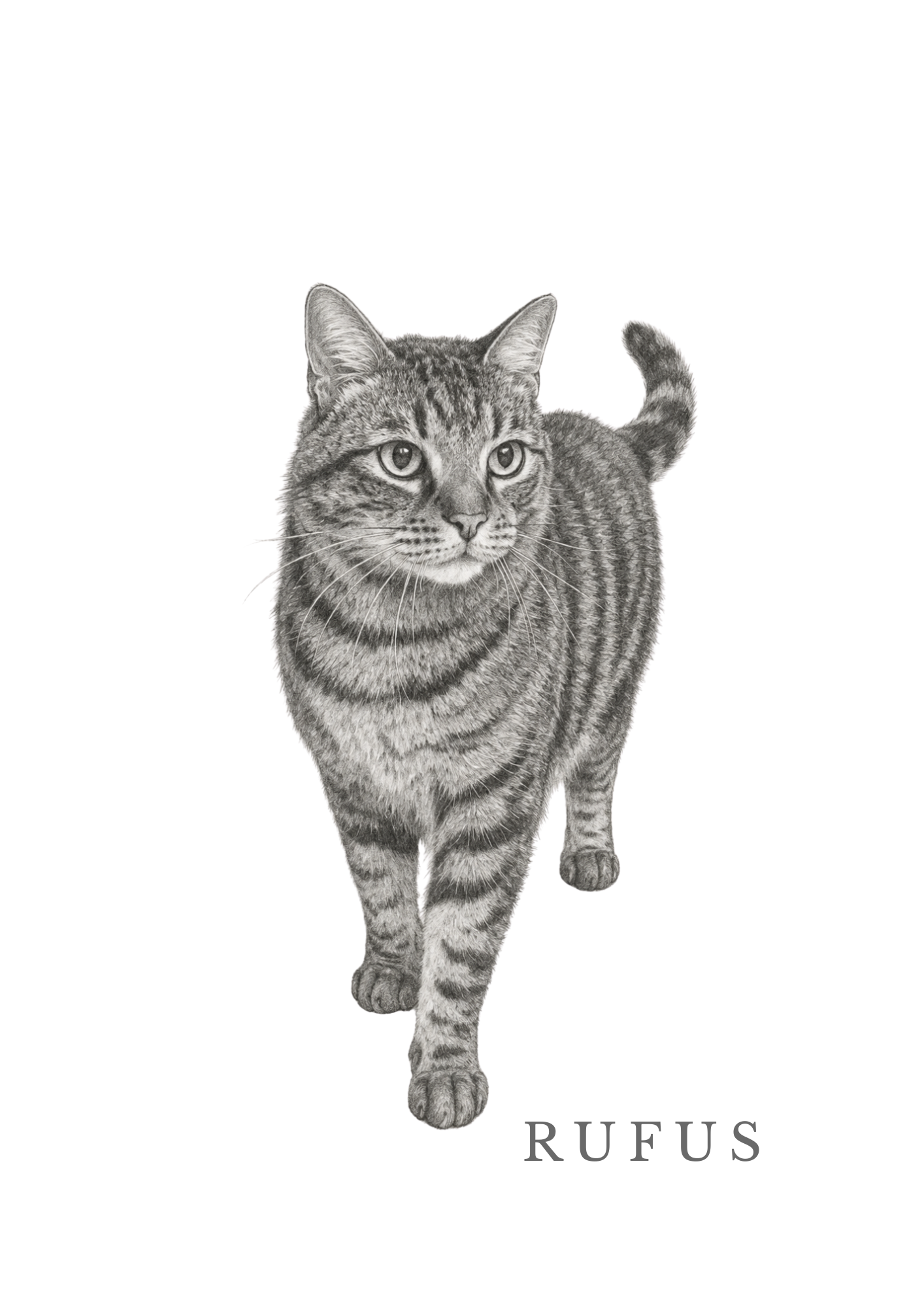 Luxury Custom Pet Portrait | Personalised Digital Download